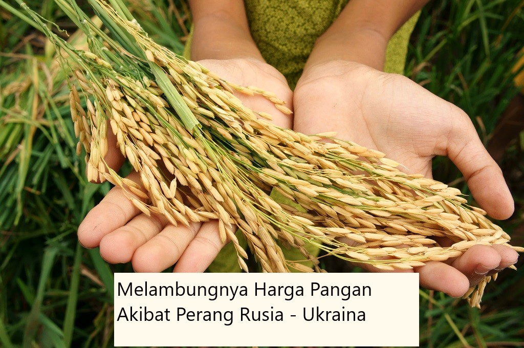 Melambungnya Harga Pangan Akibat Perang Rusia – Ukraina